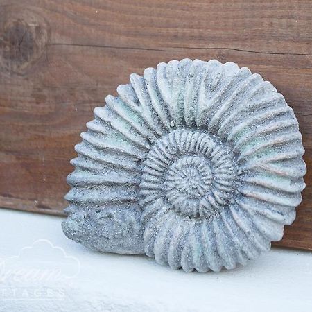Ammonite Cottage Portland Dış mekan fotoğraf